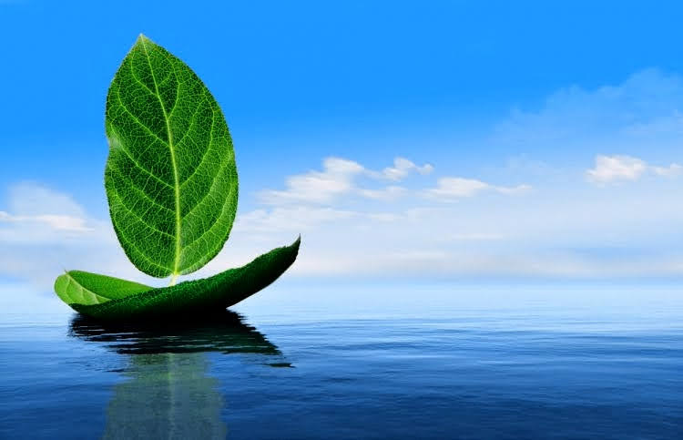 Wondering How to Optimize Power Consumption and Reduce Environmental Pollution?